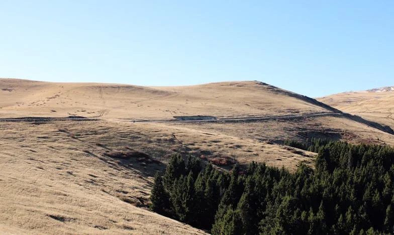 Moja snaha ne zna kuhati: Srce majke između nade i očaja