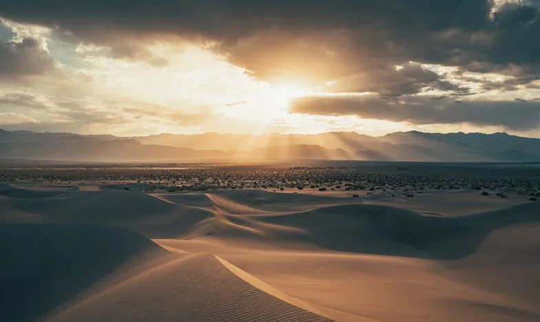 Nasljedstvo koje je slomilo moju obitelj: Priča o ljubavi, pohlepi i oprostu