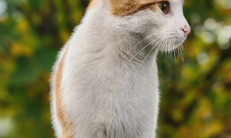 Neočekivani gost: Dan kad mi se život preokrenuo