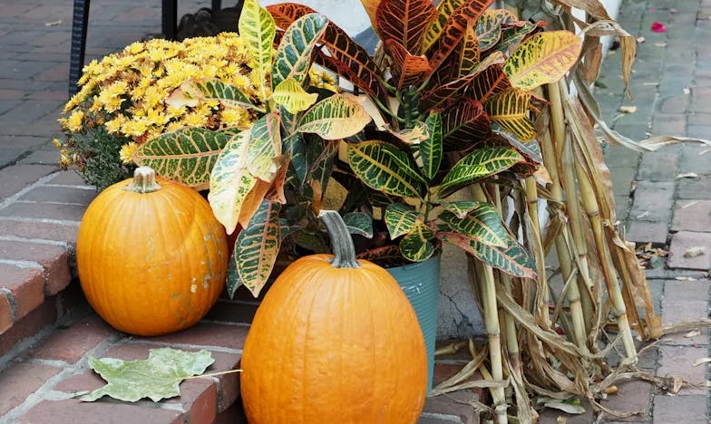 Nisam vaša sluškinja! – Moj put od tihe patnje do slobode
