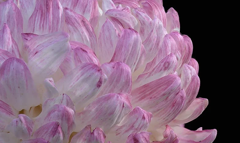 Posudba od svekra: Odluka koja je razdvojila moju obitelj