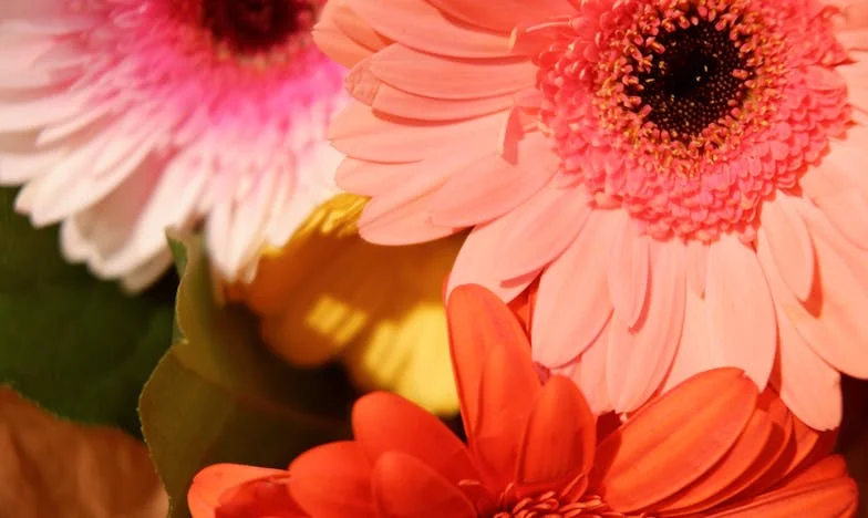 Šezdeset godina i opet volim: Ljubav koja je sve promijenila