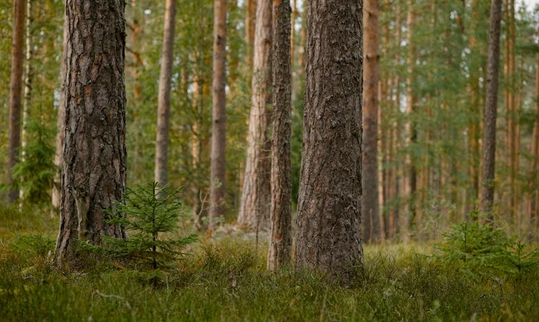 „Spakiraj se i dođi kod nas!” – Kako je moja svekrva uništila naš brak nakon rođenja sina