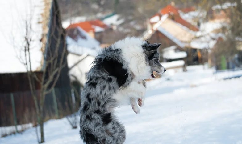 Stan za sina, gorčina za mene: Priča o razvodu, ljubomori i novim počecima