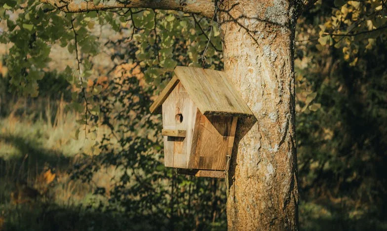 Zašto moja kćerka ne želi brinuti o svojoj majci? Priča o raspadu jedne porodice