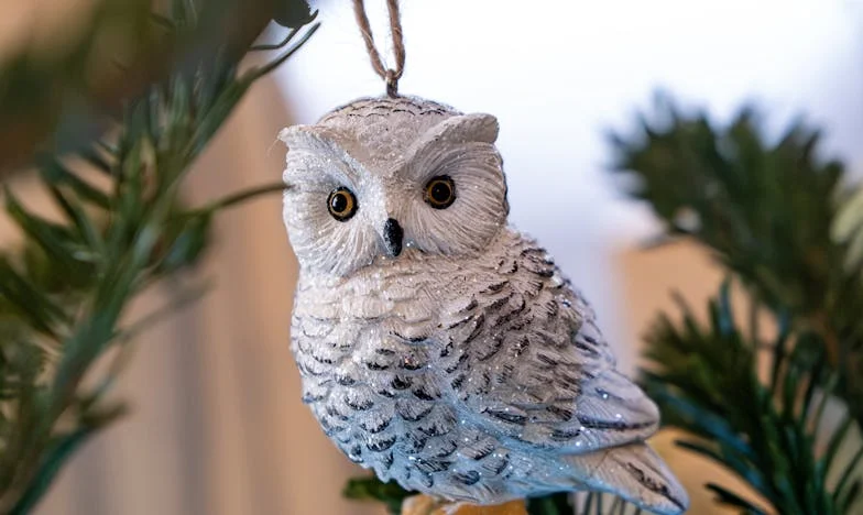 Dan kad sam naučila reći ne: Balatonski san i obiteljska stvarnost