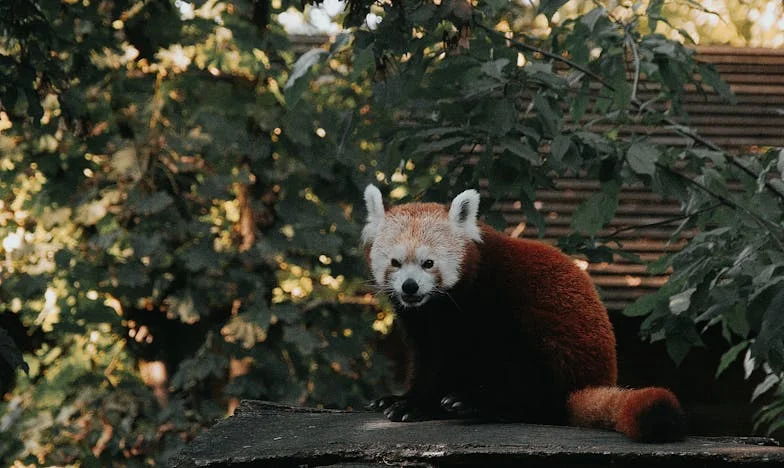 Dva ključa, jedna izdaja: Priča o izgubljenom povjerenju i hrabrosti da progovorim