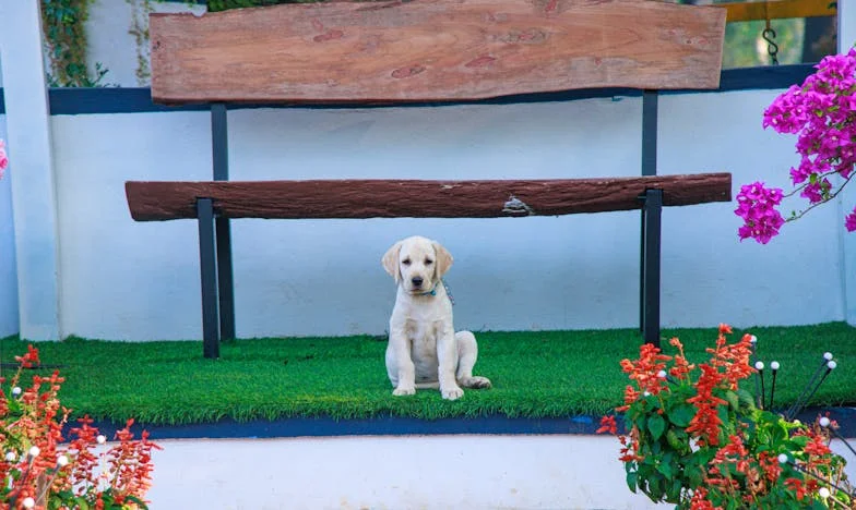 Gorki Ručak: Priča o Ljubavi i Predrasudama između Mirele i Radovana