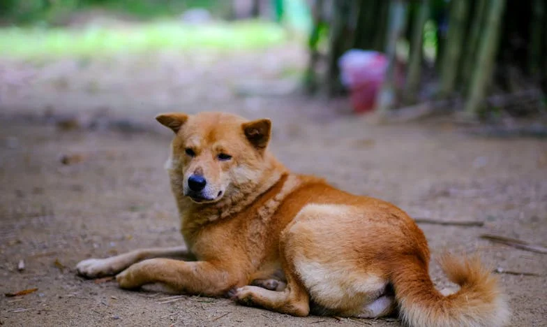 Istina o mom bratu: Noć koja je sve promijenila