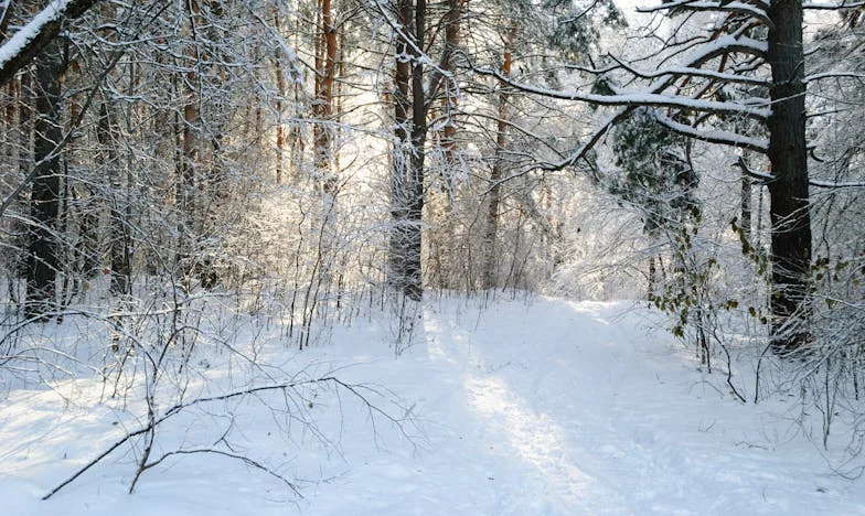 Kad Ljubav Prestane: Priča o Krajoliku Braka Nakon 40 Godina