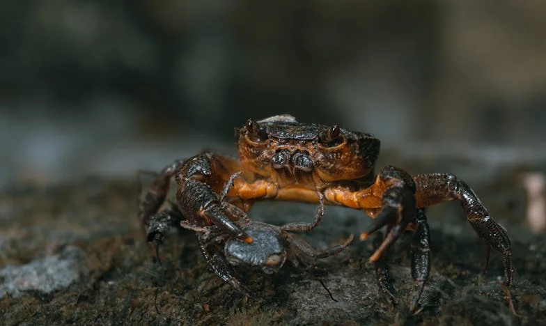 Kad ponos padne pred srcem: Priča jednog petka u Sarajevu