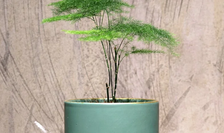 Kad se srce probudi: Djed Filip i čudo unučadi