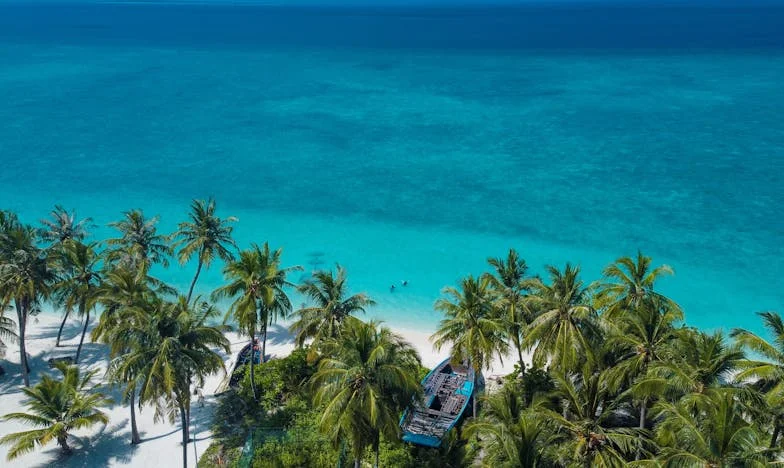 Ključ straha: Moja borba za dom protiv vlastite svekrve