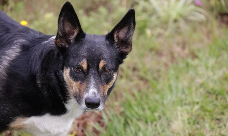 Koliko djece je previše? Priča o sestri, obitelji i granicama ljubavi