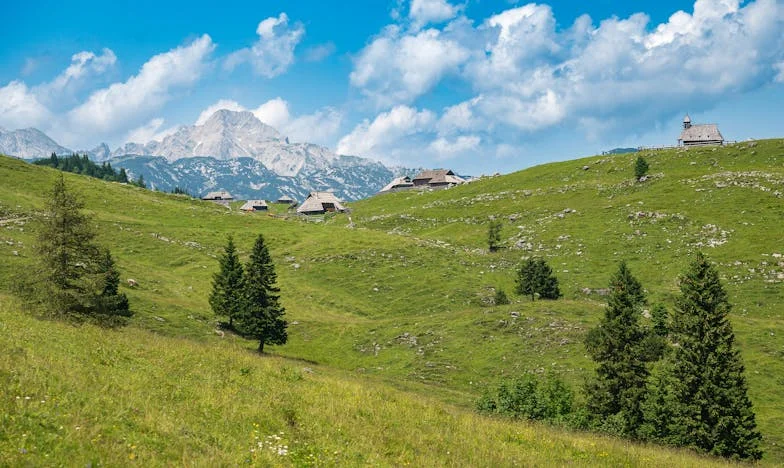 „Nakup si sam i kuhaj, više te neću hraniti“: Priča o prekretnici u braku