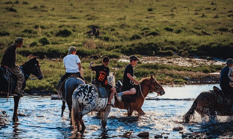 Neočekivani sustanar: Prihvaćanje sinovljevog dolaska