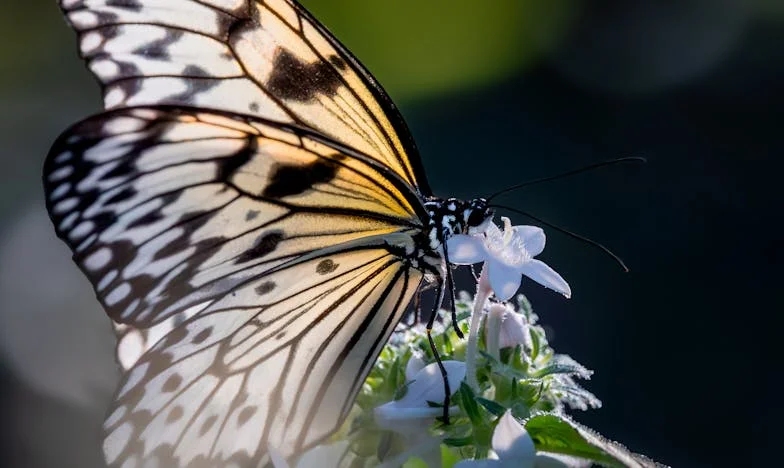 Nestala istina: Majka koja nije poznavala vlastitog sina