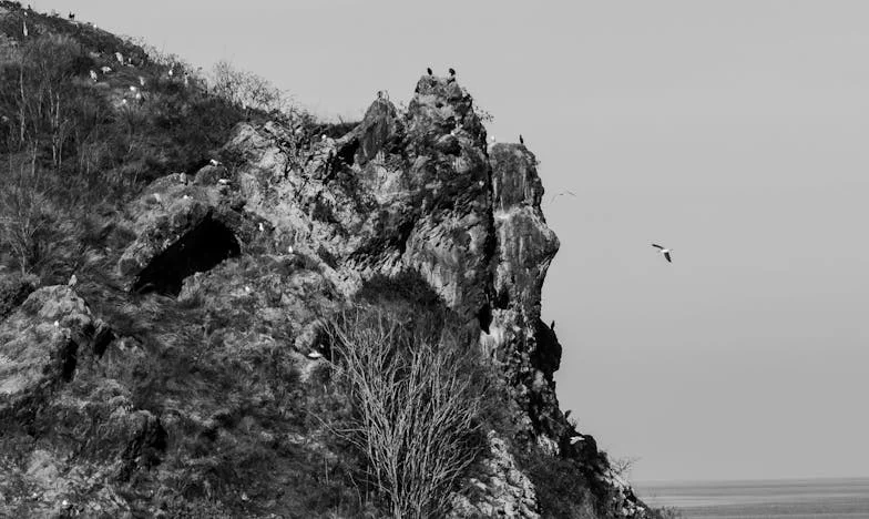 Neželjeni Gosti: Kako Sam Pokušala Sačuvati Svoj Mir u Vlastitom Domu