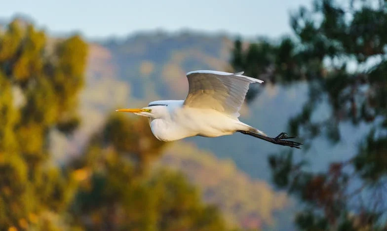„Nismo hotel!” – Kako sam naučila reći „ne” vlastitoj obitelji kad je naš dom na Jadranu postao njihova ljetna oaza