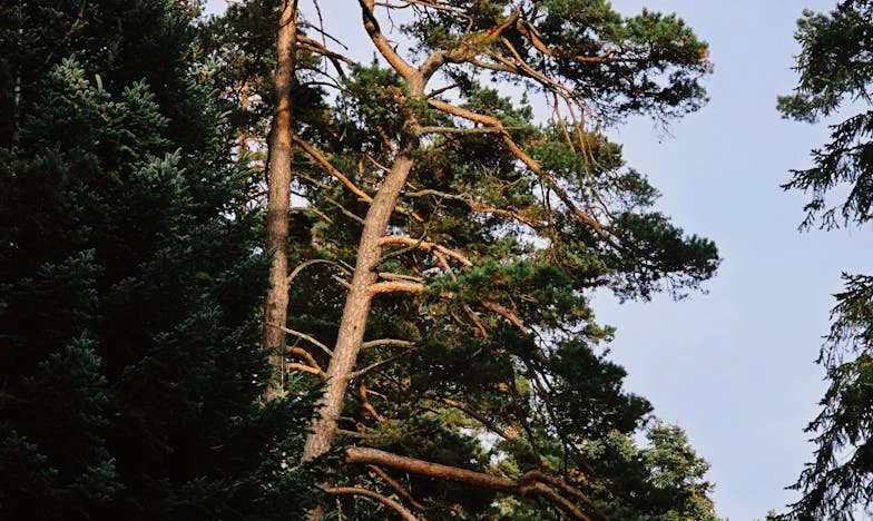 Obiteljski paraziti: Kako smo Amra i ja rekli dosta