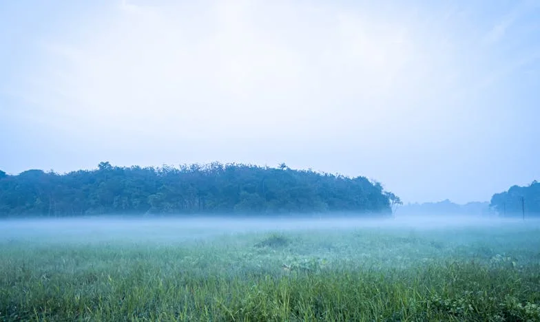 Ostatnje mrvice ljubavi: Priča o svekrvi, zaovi i borbi za svoje mjesto