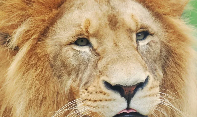 Ovo nije čovjek kojeg sam oženila: Suprugova nezadovoljstva razaraju naš brak