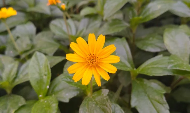 Tri puta majka u jednoj godini: Moja borba, moja snaga