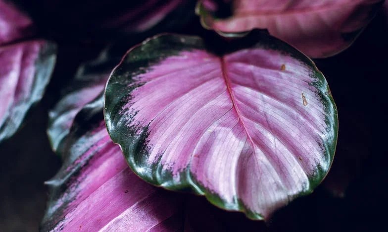 Zašto uvijek ja plaćam? – Ispovijest jedne žene o ljubavi, novcu i granicama