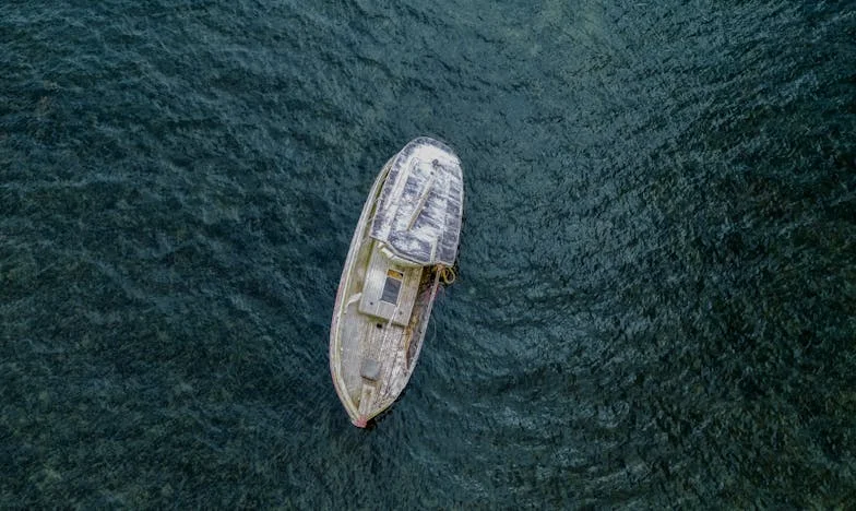 Iz pepela tuge: Priča o ponovnom rođenju jedne obitelji