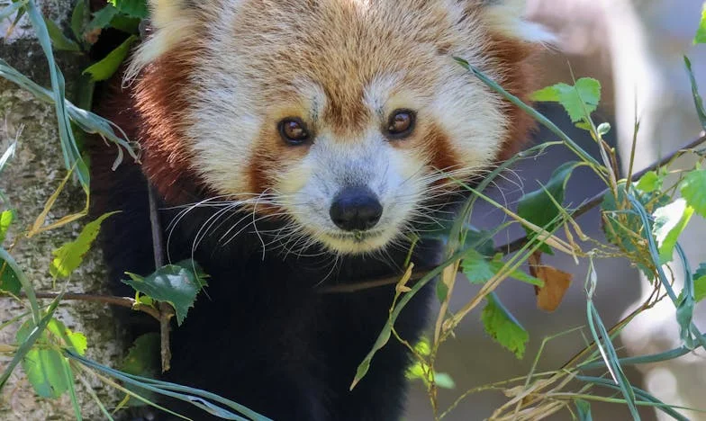 Iznajmili smo kuću muževom bratu: Kako nas je vlastita porodica skoro uništila