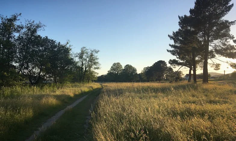 Kad će meni biti dosta?