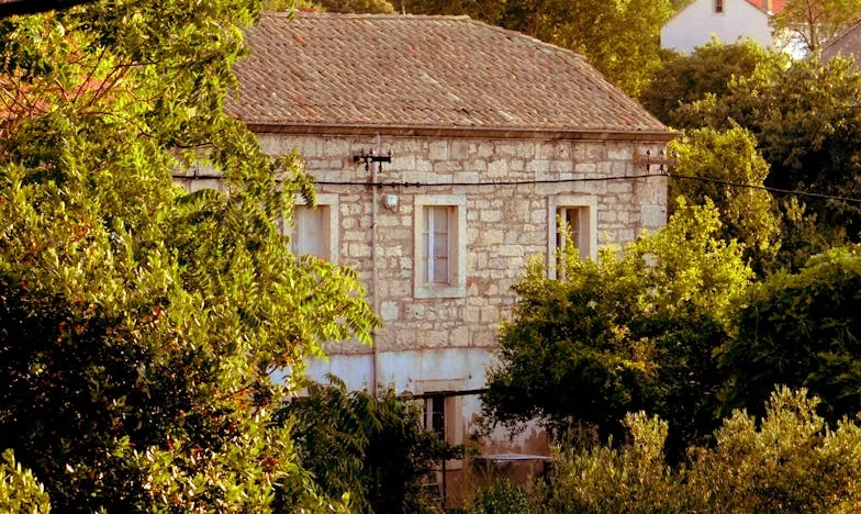 Kad padneš na dno, a on ode drugoj: Moja borba iz bolničkog kreveta