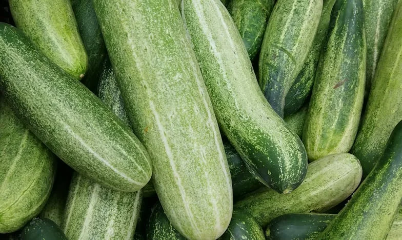 Kad svekrva donese kantu preraslih krastavaca: Ljeto u sjeni obiteljskih očekivanja