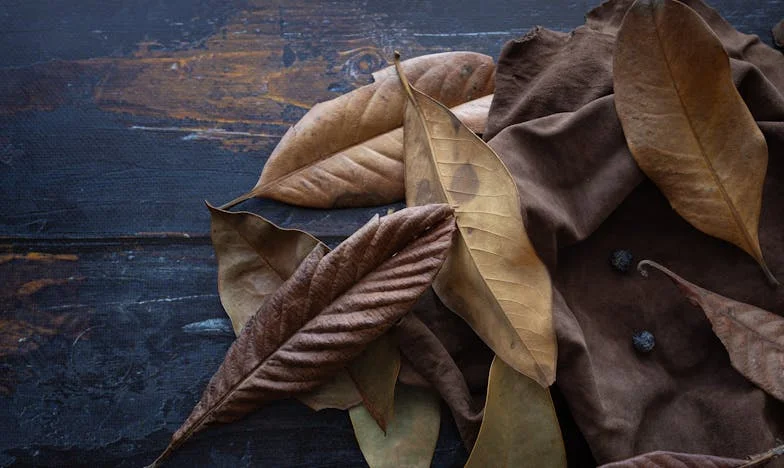 Kad te vlastita porodica izda: Noć kad sam postala strankinja među svojima