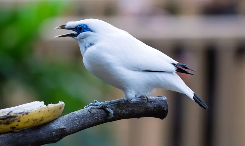 Kada ponos susretne porodicu: Moja borba za nezavisnost i ljubav u sjeni porodičnih sukoba