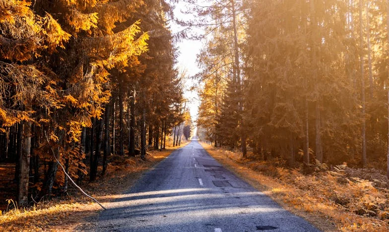 Kako sam naučila reći 'ne' – Kad ti obitelj sruši snove o životu na moru