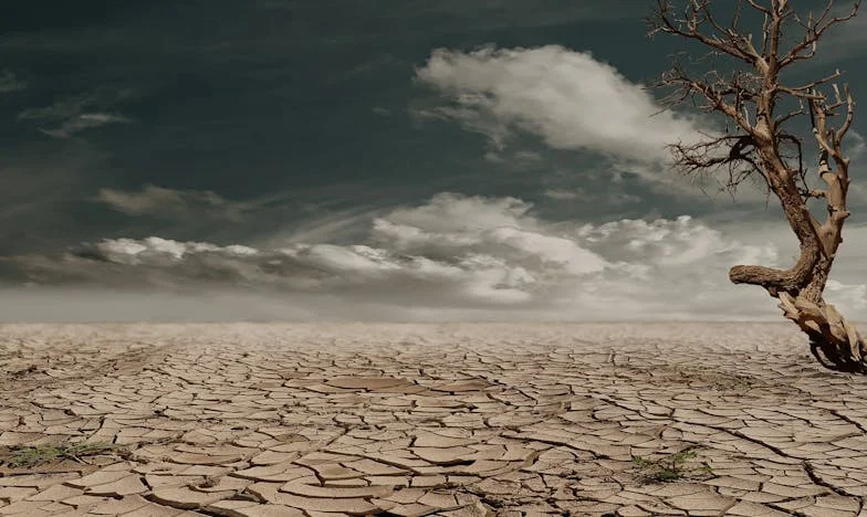 Mirjana se budi: Povratak sebi nakon 30 godina braka