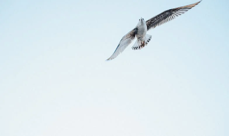 Naša kći više nije ona ista: Kako nam je zet otuđio dijete