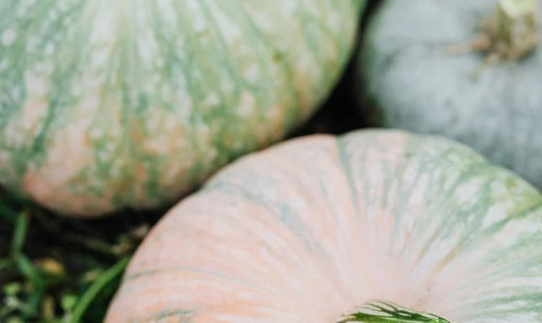 Ostavljena pred oltarom: Priča o samoći, ljubavi i izborima