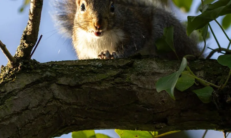 Pismo koje je promijenilo sve – Cijena majčine žrtve u jednoj zagrebačkoj obitelji