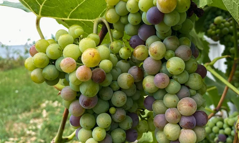 Porod, bol i istina: Kad me muž povrijedio umjesto da me podrži