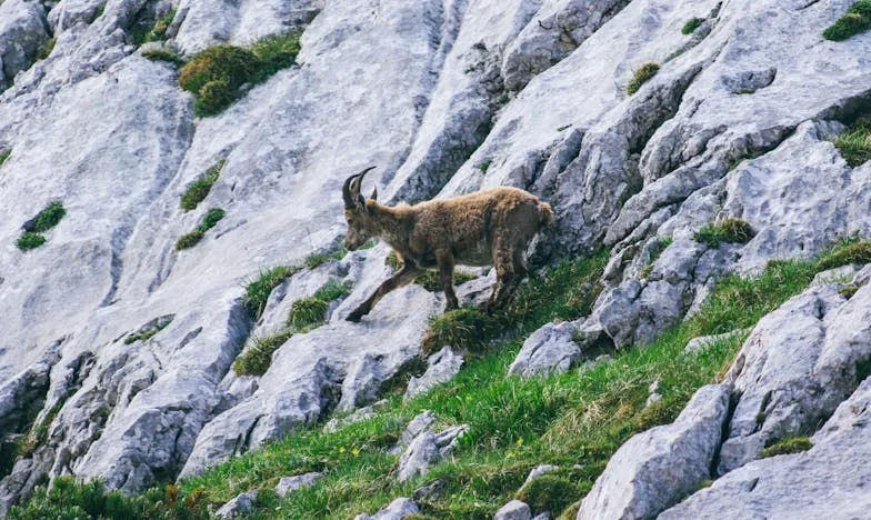 Poruka koja je promijenila sve: Između ljubavi i izdaje