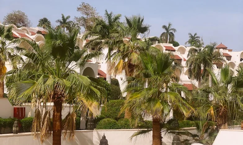 Predala sam kuću kćeri, vjerovala sam joj – sada me moli da odem