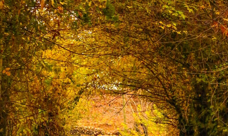 Skriveno nasljeđe: Istina koja je razdvojila moju obitelj