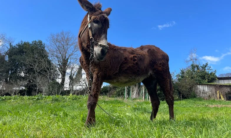 Svaka kuna pod njegovom kontrolom: Moj život u sjeni muževljeve šake
