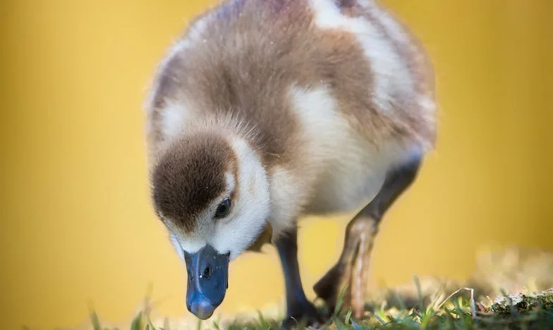 Vratila sam se iz rodilišta – i dočekala me samoća umjesto obitelji