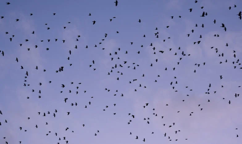 Vratila sam se kući, ali dom više nije bio moj