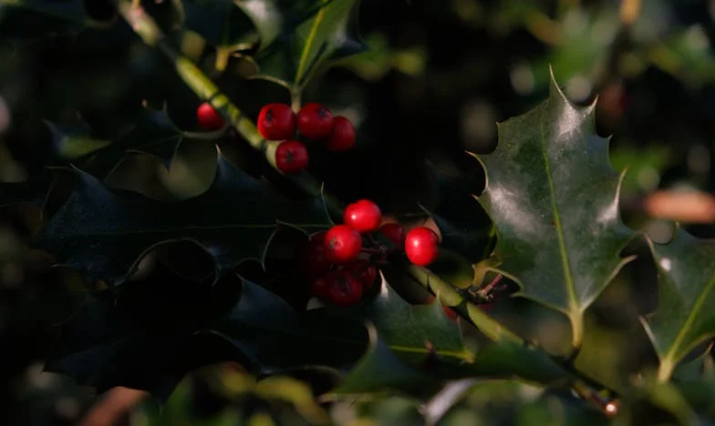 Zahvalna sam svojoj svekrvi što je pokušala spasiti naš brak