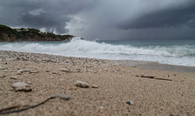 Kad sam se vratio kući, Princ je nestao — priča o ljubavi prema mački i bijegu iz toksične veze