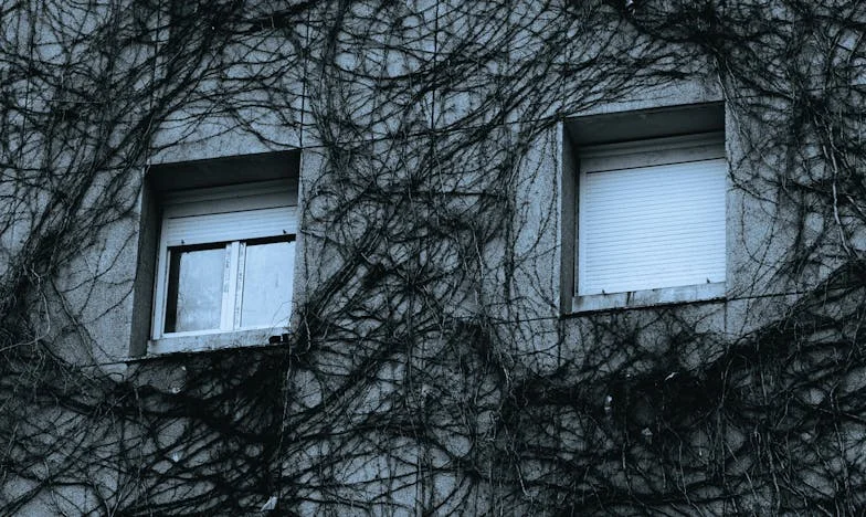 Moja kćerka Lana: Između ljubavi i tišine